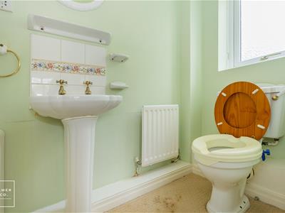 Picture 13